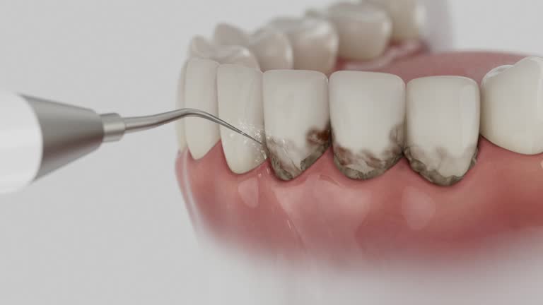 Reliable Dental contractor in White Hall, WV by Dentist Open Now